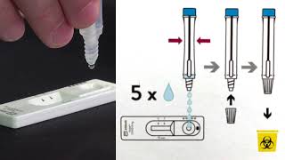 Rapid antigen screening [upl. by Ogires]