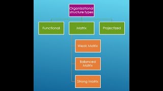 Types Of Organizational Structure  Functional  Matrix  Projectized [upl. by Monteith]