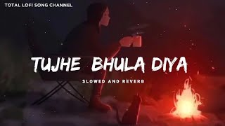 Har Pal Har Lamha Main Kaise Sehta Hoon  Lofi  Tujhe Bhula Diya  Mohit Chauhan  Total Lofi Song [upl. by Hanako]