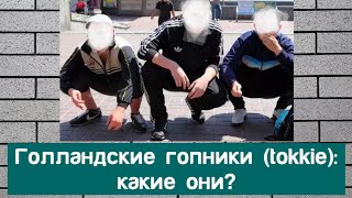 Голландские гопники tokkie какие они [upl. by Oswin]