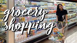 grocery shopping vlog  almeyda nayara [upl. by Manlove]