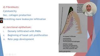 Fall 2020  Periodontology 1  Lec 6  Gingivitis Part 2 [upl. by Nydroj]