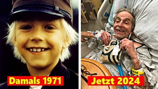 👦 Michel aus Lönneberga 1971 👵 Alle Schauspieler Damals amp Heute 2024 [upl. by Hoffert585]