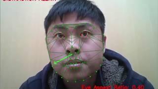 Pose amp Drowsiness Detection with OpenCV amp DLib Human Activity Tracking [upl. by Enidan]