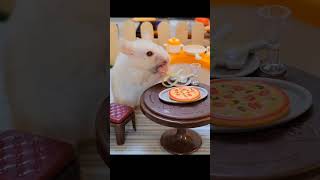 Hamsters eating yellow noodles 🍜 hamsterbabies hamstersshow animals shortvideo shorts [upl. by Vasili]