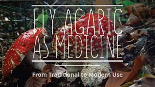 Fly Agaric as Medicine From Traditional to Modern Use with Kevin Feeny PhD [upl. by Besnard]