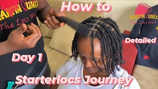 Perfect Starter Locs Tutorial  Interlocking amp Instant Crochet Method [upl. by Anicnarf]