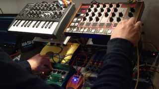 Akai Rhythm Wolf  Deep Session feat Arturia Microbrute [upl. by Ileyan]