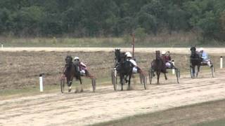 Kasacke trke Pancevo 2011I trka Ljubinko Miki Jerkov [upl. by Alleram]