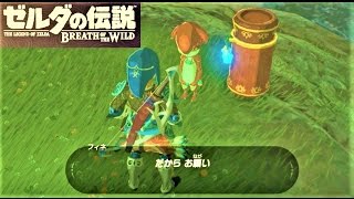 【メッセージボトルの行方  フィネのイベント】 攻略 ゼルダの伝説 ブレスオブザワイルド quotSpecial Deliveryquot Zelda  BREATH OF THE WILD [upl. by Ryley826]