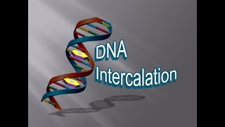 DNA intercalation  Explained  Simple amp Easy  Academics  University  Research [upl. by Claude]