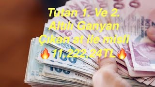 29 Ekim 2024 Salı Kocaeli altılı ganyan tahmin  TUTTU 1122224 TL Çıkan at ile Misli [upl. by Deragon402]