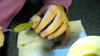 Handfeeding Timneh African Grey baby parrots [upl. by Eanod]