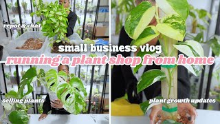 Running a Plant Store From Home🪴Plant Exo Set Up New Hoyas Repotting Plants Plant Growth Updates [upl. by Acsicnarf464]