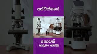 අන්වීක්ෂයක කොටස් හඳුනා ගනිමු [upl. by Akilaz802]