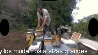 Arbeit mit Ablegern  el trabajo con nucleos  ResistantBeescom [upl. by Akirahs347]