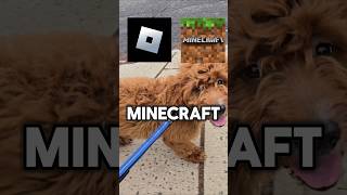 ✨️TEAM ROBLOX OR TEAM MINECRAFT PUPPY✨️ shorts puppy dog [upl. by Patti2]