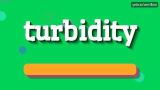 TURBIDITY  HOW TO PRONOUNCE IT [upl. by Helyn389]