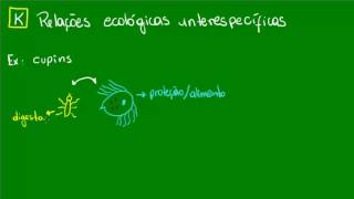 Mutualismo  Ecologia  Biologia [upl. by Dnalrag18]