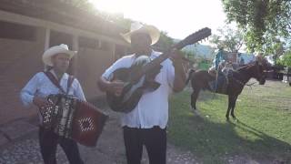 EL CORRIDO DE FRANCISCO CABEZA DE VACA [upl. by Donovan]