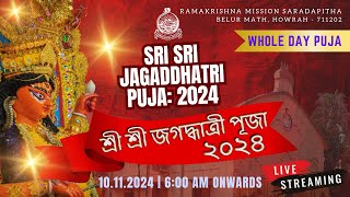 Jagaddhatri Puja 2024  Whole Day Puja  RKM Saradapitha [upl. by Adey855]