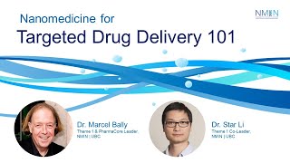 Nanomedicine For Targeted Drug Delivery 101 [upl. by Sidky]