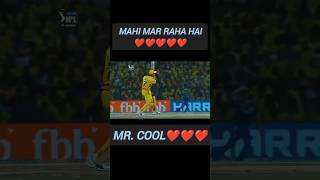 Mr Cool dhoni ipl cricket dhoniforever shortsviral shorts subscribe yt ytshorts ytviral [upl. by Dowdell]