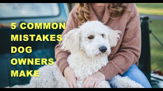 5 Common Mistakes Dog Owners Make [upl. by Joed]