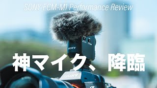 【ECMM1】Sonyの神マイクラインナップに新たに追加されたECMM1を徹底レビュー！天孫降臨とも言うべき神マイクの性能やいかに！？ [upl. by Barker314]