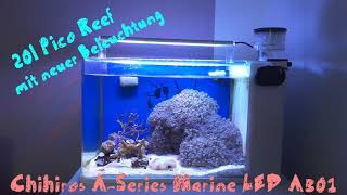 Chihiros ASeries Marine LED A301 auf 20l Pico Reef Meerwasseraquarium Nano 5 Gallon [upl. by Esiocnarf620]