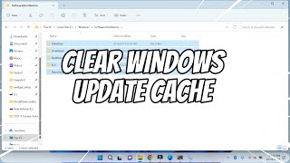 How to Clear Windows Update Cache in Windows 11 1 [upl. by Elylrac]