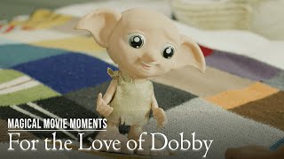 FOR THE LOVE OF DOBBY IRL  Harry Potter Magical Movie Moments [upl. by Malha]