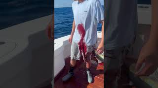 Bigeye tuna stains shirt but worth it tuna bigeye fish fishing longisland ocean outdoors [upl. by Ecirtel817]