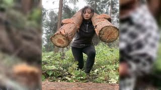 Strong girl Entering The Forest Alone Cut Down Trees For Firewood  Wood Cutting With Chainsaw [upl. by Glendon]