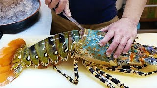 Japanese Street Food  600 GIANT RAINBOW LOBSTER Sashimi Japan Seafood [upl. by Adnawyt300]