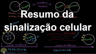 Resumo da sinalização celular  Sinalização celular  Biologia  Khan Academy [upl. by Phillipe79]