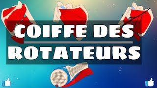 Anatomie du membre supérieur  Coiffe des rotateurs [upl. by Kilmarx197]