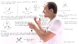 Introduction to Amino Acids [upl. by Nichol]