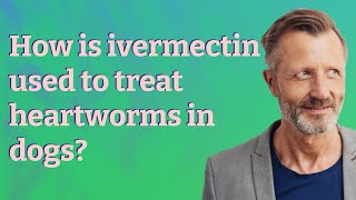 How is ivermectin used to treat heartworms in dogs [upl. by Kramnhoj]