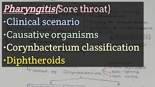 Pharyngitis  Clinical scenario  Causative organisms  Corynebacterium classification  Diphtheroid [upl. by Renie]