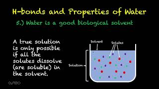 Human Physiology  7  Water and Hydrogenbonding [upl. by Naut]