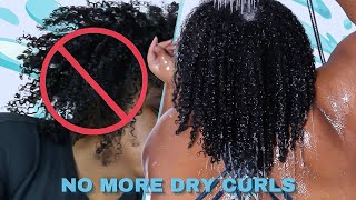 NO MORE DRY NATURAL HAIR These Ultimate Moisturizing Conditioners Change Type 4 Natural Hair [upl. by Gaughan]