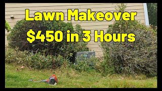 OVERGROWN  Lawn Makeover [upl. by Quintin294]