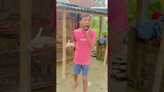 কোন বিপদ থেকে বাঁচালাম 😭🙏 কী ছিল পাখির খাবারে 😱 vlog minivlog comedy funny fun birds [upl. by Kimon240]