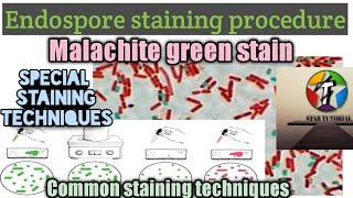 Endospore staining technique in hindi ll Malachite green ll Microbiology ll Chapter2 [upl. by Kerwon]