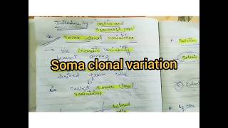 SOMA CLONAL VARIATION TISSUE CULTURERitikas tutorial [upl. by Lasala]