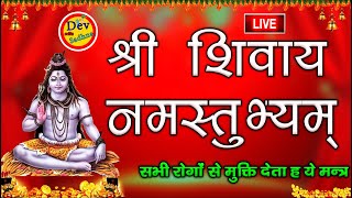 Shri Shivay namhstubyam श्री शिवाय नमस्तुभ्यं 108 बार  Dev Bhakti Sadhna [upl. by Berne933]