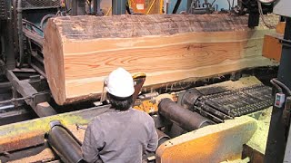 Extreme Biggest Wood Sawmill Machine Working Fast Chainsaw Wood Cutting Machine Modern [upl. by Bagger]