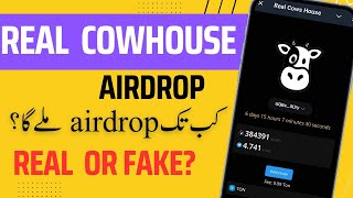 Real Cow House airdrop real or fake [upl. by Aaron]