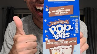 New Frosted Marshmallow Hot Cocoa PopTarts [upl. by Whitney]